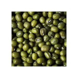 Produits de vente chauds de haricot mungo vert Oem Protéine de haricot mungo vert