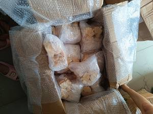 Animales de madera que aprenden y juegan para niños/Animal de madera único con una variedad de formas desde 99GD - Product Image 3