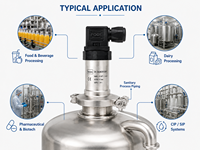Hygienic Temperature Sensor / Sanitary Temperature Transmitter for Food and Beverage Applications