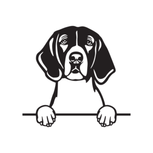 Cuadro Decorativo de una Raza de Perro en MDF - Product Image 2