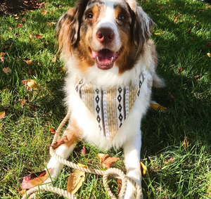 Laisse pour chien en corde de coton ombrée faite à la main, durable et élégante, pour la promenade et l'entraînement - Product Image 4