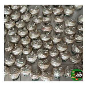 Coquille de conque décorative, coquille de conque naturelle Turbo Shell fournisseur en gros pour la décoration, coquille de conque bleue non polie propre - Product Image 6