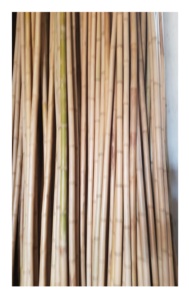 Bastón de bambú natural seco y recto bastones de bambú para la construcción con suministro de gran tamaño a granel de Vietnam - Product Image 6