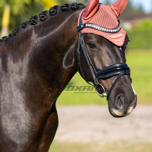 Bonnet de mouche au crochet respirant léger lavable couverture d'oreille de cheval Pakistan fait équipement équestre ajustement confortable idéal - Product Image 3