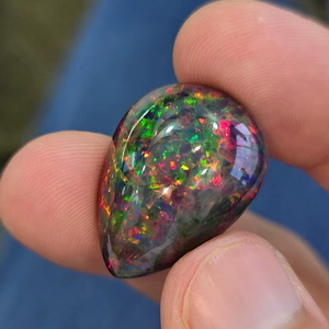ธรรมชาติเอธิโอเปียนสีดำโอปอล cabochon. ชิ้นส่วนที่มีคุณภาพสูงสุด14.90 cts. โอปอลทรงหลังเบี้ยคุณภาพระดับโลก - Product Image 1
