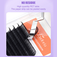 Extensions de cils préformées en rouleau personnalisables avec logo de marque, fournitures pour cils 5D Flora, faux cils longs