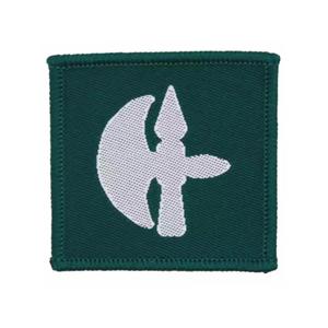 Parche de Reconocimiento Táctico TRF de la Brigada Logística Arm 102 del Ejército Británico - Product Image 1