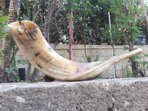 Corne de bélier de qualité supérieure Shofar corne naturelle Shofar pour souffler sur Rosh Hashanah Corne de bélier casher Shofar Kudu polie de qualité supérieure - Product Image 5