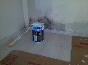 ISONEM Anti-Mold and Mildew <b>Moisture</b> Paint for Walls <b>Eliminates</b> Humidity and Dampness Issues Made in Turkey - Product Image 5