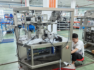 Équipement d'emballage de sachets préformés entièrement automatique à commande servo, adapté à la jackfruit séchée - Product Image 6