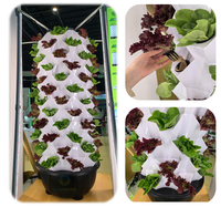 Meilleur système hydroponique pour débutants, système hydroponique vertical d'intérieur, système hydroponique à LED, système de culture en tour pour légumes