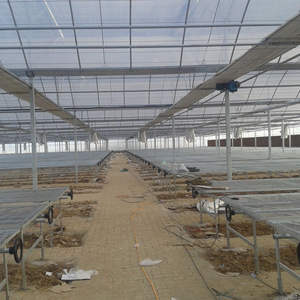 Système de banc roulant hydroponique EBB-Hauteur réglable-Équipement de culture en serre - Product Image 4