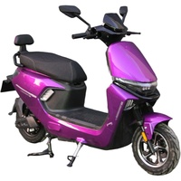 Moto de tourisme pour adultes 1000W 60V20Ah avec freins à disque avant et à tambour arrière, 45 km/h, violette