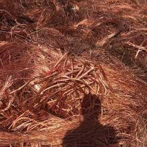 Déchets de cuivre industriels de qualité supérieure - Efficace, rentable et idéal pour le recyclage et la production d'alliages - Product Image 5