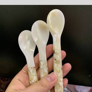 Cuchara de concha no corrosiva Madre de perla Utensilio hecho a mano para caviar Fine Dining Fruit Stick Tool y artículo de regalo de lujo - Product Image 2