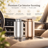 Diffuseur d'arômes de voiture DANQ Premium, rechargeable, commande tactile, sans eau, portable, pour chambre d'hôtel, cadeau, marché, logo personnalisé, OEM, ODM