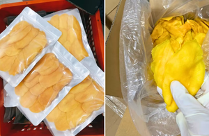 Mango seco suave y sabroso de Vietnam hecho de fruta de alta calidad y listo para su distribución global - Product Image 4