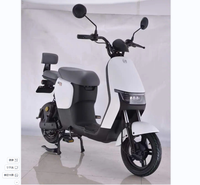 Cyclomoteur électrique à deux roues longue portée hors route petite moto électrique vélo Scooter électrique pédale approuvé 2024