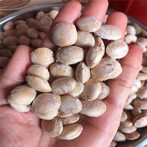 TOP EXPORTACIÓN NUECES PUROS INCA EN 2024 - Product Image 6