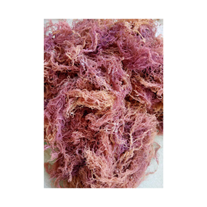 Ready to ship <b>dried</b> sea <b>moss</b> pure clean and high quality Eucheuma Cottonii <b>dried</b> sea <b>moss</b> <b>dried</b> sea <b>moss</b> from Vietnam - Product Image 3