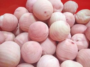 Fabriqué au Vietnam norme ISO meilleur prix écorces de fruits de la passion surgelées en vrac dans une fraîcheur maximale - Product Image 6