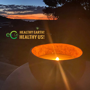 TOP TRENDING 2025!! Natural <b>Coconut</b> <b>Candle</b> Bowls / Handmade <b>Coconut</b> Bowls for <b>Candle</b>/ Sustainable <b>Coconut</b> Bowl by Eco2go - Product Image 6