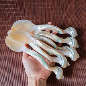 Elegance Pearl Spoon Design Cuchara de servicio de acero inoxidable de calidad superior para café Té para fiestas Bodas - Product Image 3