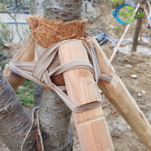 สินค้าขายดีแผ่นมะพร้าว/เสื่อปาล์มราคาไม่แพงเทปมะพร้าว: ง่ายต่อการใช้และติดตั้งส่งออกจากโรงงานเวียดนาม - Product Image 4