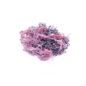 สาหร่ายไอริชมอสแห้งสีน้ำตาล (Chondrus Crispus Eucheuma Cottonii) ธรรมชาติ 100% จากเวียดนาม เวลเวทีน่า เทรซี่/เฮเซล - Product Image 1