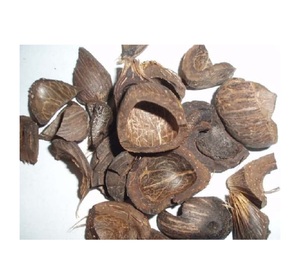 100% Purity Palm Kernel <b>Shell</b> (PKS)/<b>Coconut</b> <b>Shell</b>/Palm Kernel <b>Shell</b> Charcoal - Product Image 6