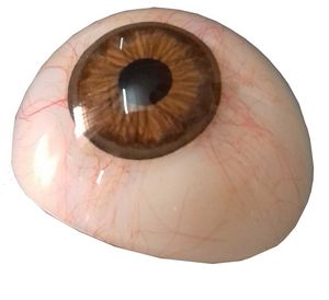 SS Fabrication Oeil Brun Prothétique Artificielle-Ensemble de 20 livraison gratuite dans le monde entier... - Product Image 1