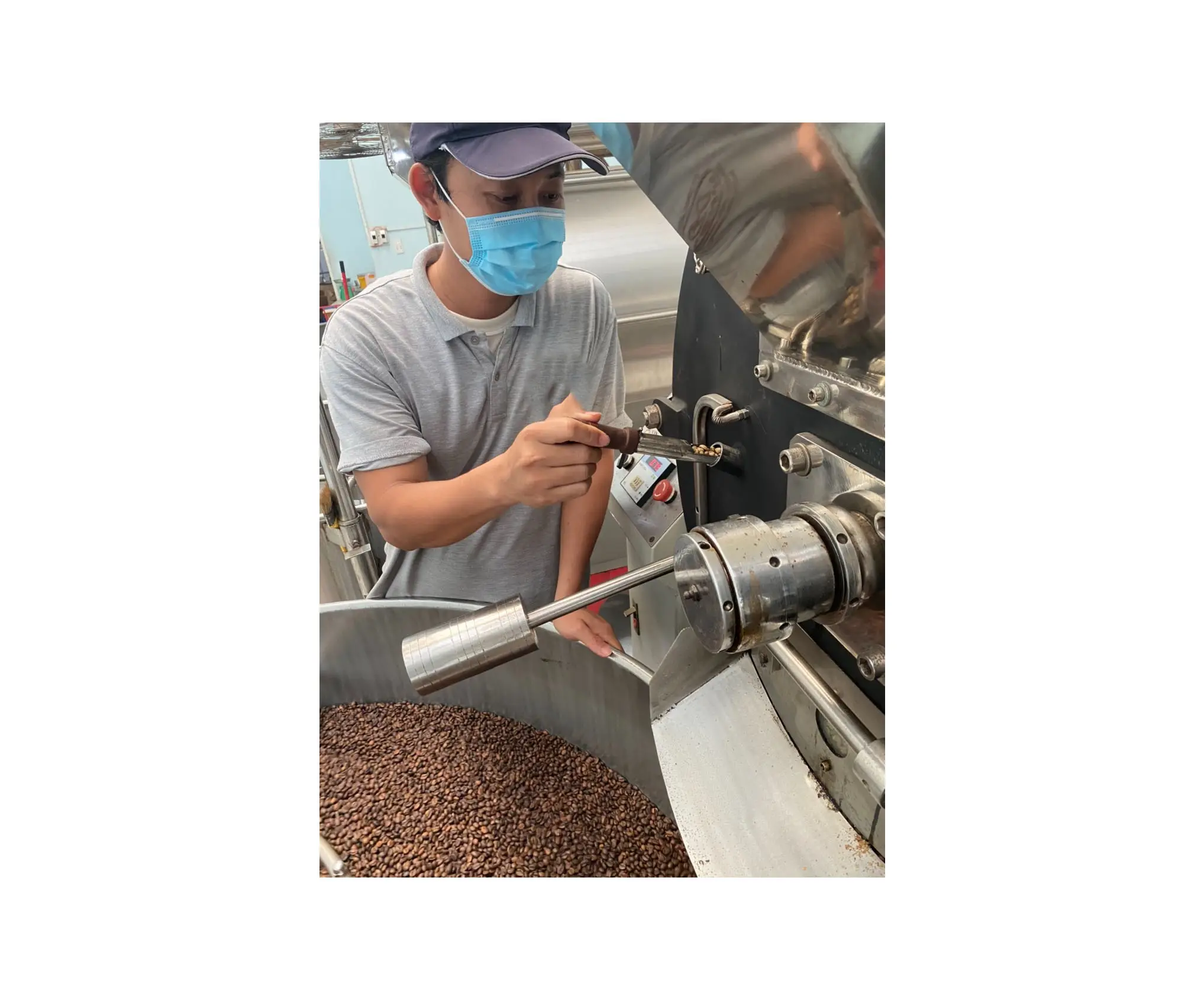 Esporta chicchi di caffè Robusta di alta qualità brasile caffè prezzo 100% arabica dal brasile