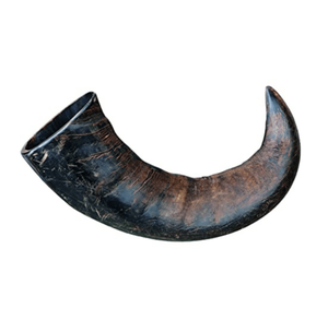 Cornes de buffle polies - Style religieux et angélique, cornes naturelles propres et séchées, export en vrac pour la fabrication - Product Image 4