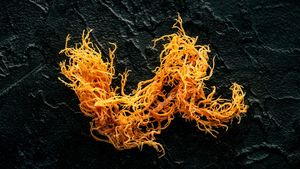 Mousse de mer du Vietnam | Séchées au soleil, propres et soigneusement emballées | VIET DELTA - Product Image 4