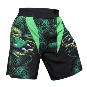 Short MMA de combat de boxe avec impression par sublimation sur mesure pour hommes vente en gros de shorts MMA de dernière conception pour hommes - Product Image 2