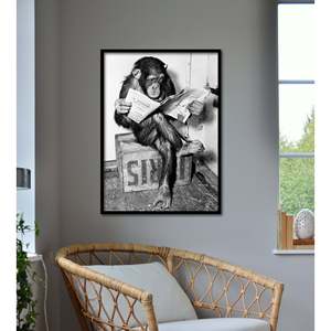 Chimpancé sobre lienzo con base de soporte, impreso digitalmente, leyendo un periódico - Product Image 2