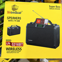 LN5216BT Solarbetriebener Lautsprecher Kabellose Soundbar mit Starkem Bass FM-Radio USB TF-Karte Outdoor-Reise-Audio Großhandel