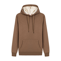 Sweat à capuche épais pour homme en molleton 100 % coton, coupe régulière, 250 g/m², personnalisé OEM, idéal pour l'hiver, vente en gros