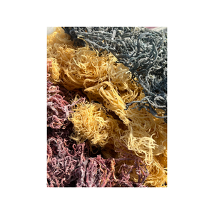 Vietnam 100% Natural High Quality Gold Sea Moss Irish Moss Wildcrafted Sun Dried Seamoss Irishmoss Dried Eucheuma Cottonii - Product Image 3