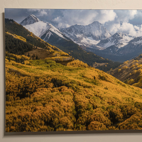Art mural acrylique impression UV polychrome personnalisée panneau d'affichage d'art mural acrylique impression photo acrylique en plexiglas Lucite acrylique