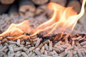 Pellets de Madera de Pino de Alta Calidad, Aserrín de 6 mm de Diámetro, 750 Kg/m de Densidad, Sistema de Calefacción - Estándar A1, Directo de Fábrica, 0.7% de Cenizas, 4900J - Product Image 6