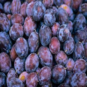 พลัมสดคุณภาพพรีเมียม - พันธุ์วิคตอเรียสีม่วงหวานและแบล็คไดมอนด์ - ผลไม้เกรดส่งออก - ค่าบริกซ์สูง 12%+ - Product Image 3