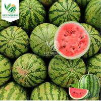 Groothandel Watermeloenblokjes Bevroren Fruit-Hoogwaardige Bevroren Watermeloenzaadblokjes Dobbelstenen-100% Biologische Verse Watermeloen
