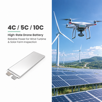 Cellule de batterie OEM&ODM 80,4 Ah 350 Wh/kg semi-solide pour drone, cellule de batterie lithium-ion 3,7 V pour UAV agricole