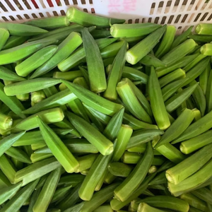 IQF Frozen Okra Alta calidad Mejor precio Fresh Green Farm Direct Wholesale - Product Image 1
