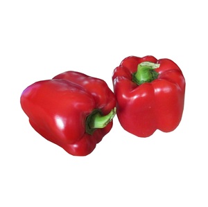 Pimiento fresco, chile fresco, pimiento rojo fresco listo para transportar, buena calidad, exportación directa - Product Image 5