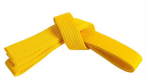 Cinturón de trajes de Karate hecho profesional de alta calidad, desgaste de artes marciales, cinturón de trajes de Karate más vendido - Product Image 6