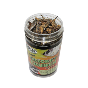 Grillons séchés riches en protéines, croustillants et insectes comestibles naturels pour les collations - Product Image 4