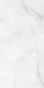 การออกแบบที่สวยงามสไตล์ยุโรป การผลิตเซรามิกกระเบื้องจีนที่ยิ่งใหญ่ในอินเดียสําหรับที่จอดรถ - Product Image 3