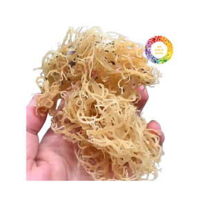 สาหร่ายทะเลสีทองแบบไอริชจากทะเลสาหร่ายทะเลเค็มและใยใหญ่ที่เก็บจาก100% ทะเลแห้งจากธรรมชาติ - Product Image 5
